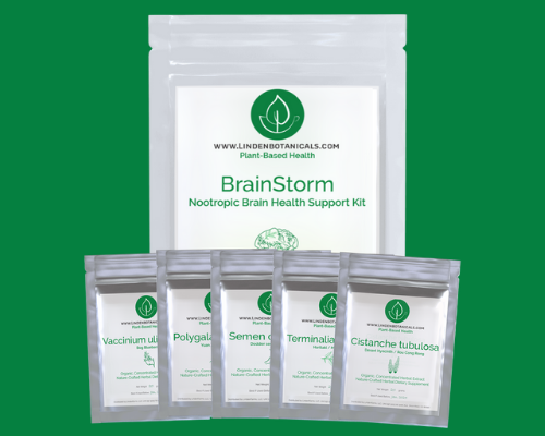 brainstorm nootropic supplements - brain health kit from Linden Botanicals