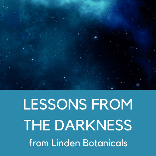 Lyme Disease Lessons from the Darkness from Linden Botanicals