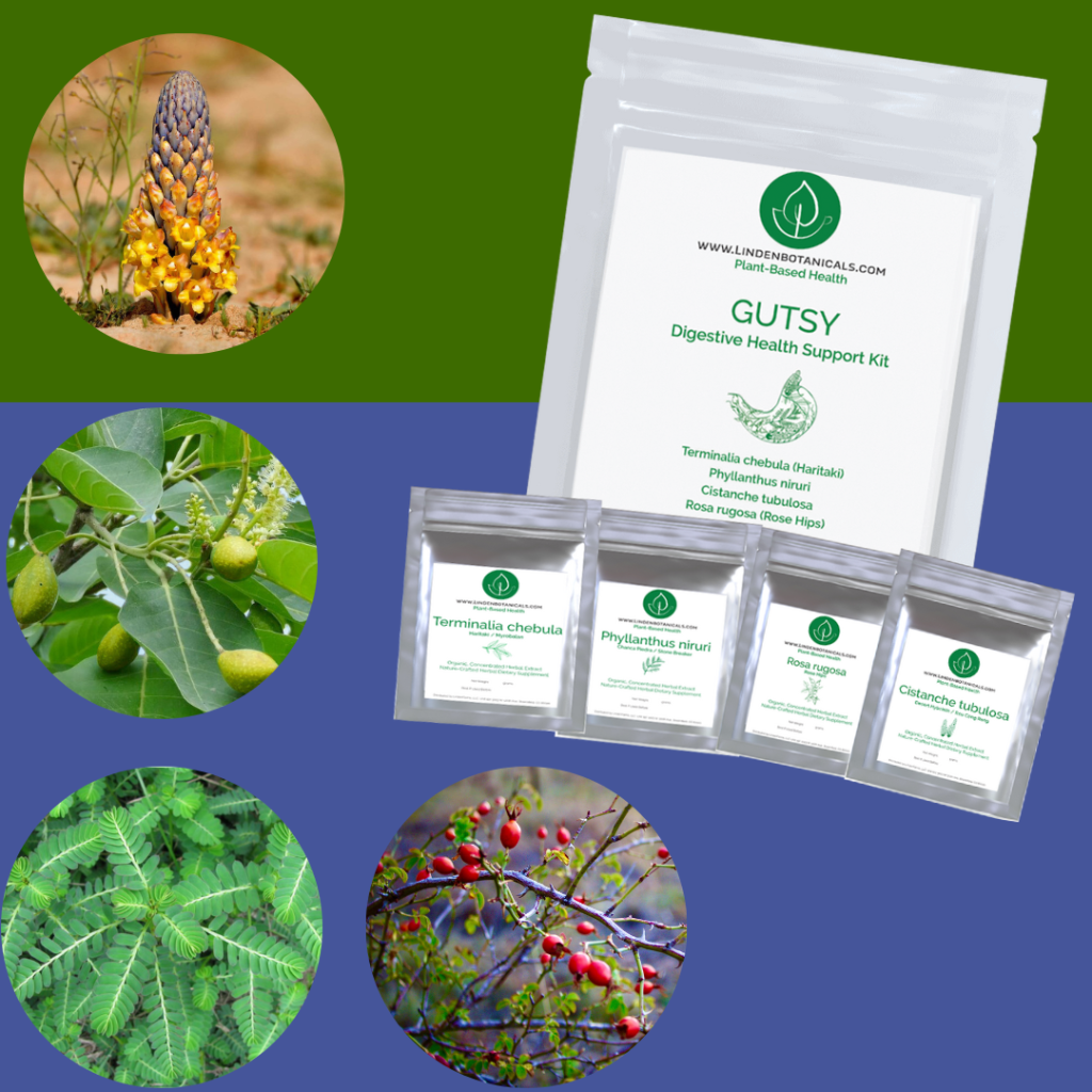 Herbal Cleanse and Herbal Detox - GUTSY Digestive Health Kits from Linden Botanicals