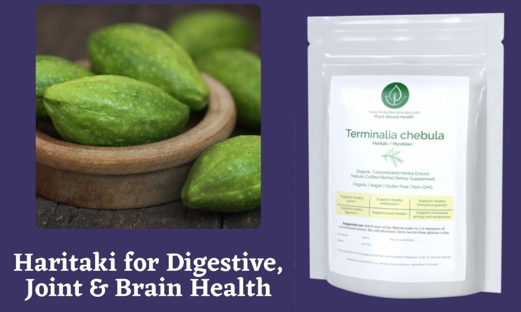 Haritaki - Gut Health Wellness Pathway from Linden Botanicals