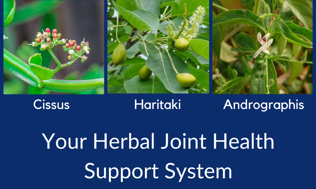 Looking for an All-Natural Joint Health Dietary Supplements? Try Cissus quadrangularis, Haritaki, and Andrographis from Linden Botanicals.