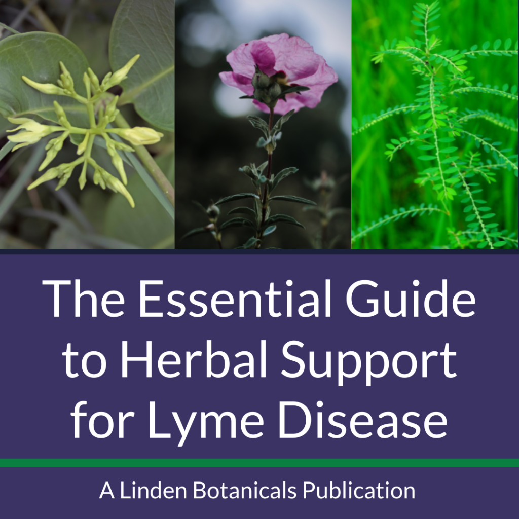 The Essential Guide to Herbal Support for Lyme Disease - A Linden Botanicals Publication