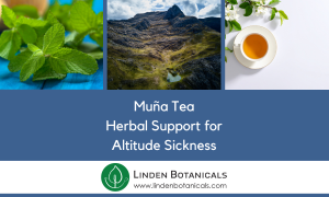 Muna Mint Tea - Altitude Sickness How to Avoid It - Muna Herbal Tea from the Andes (Sold by Linden Botanicals)