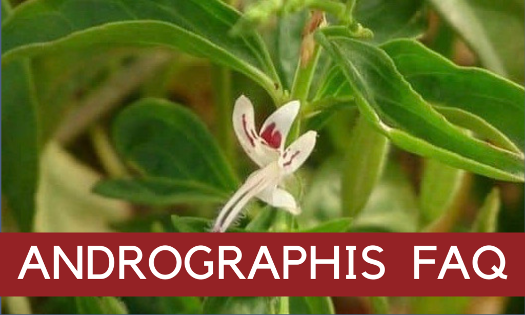 Andrographis paniculata - Andrographis Men's Health Wellness Pathway - Linden Botanicals