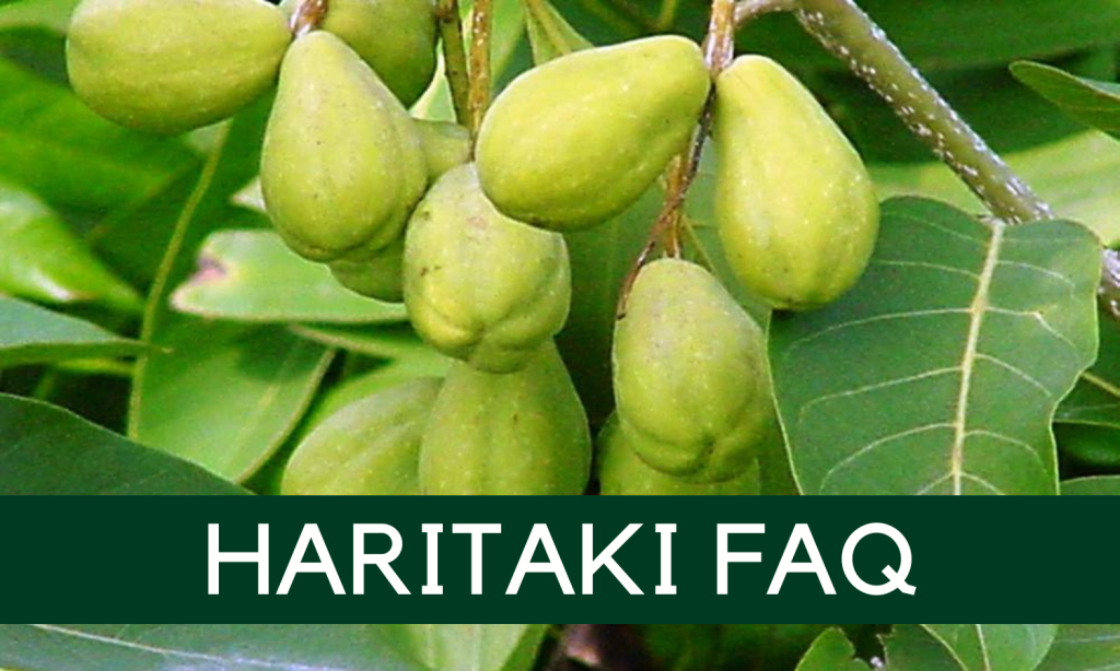 Haritaki FAQ - Terminalia chebula sold by Linden Botanicals