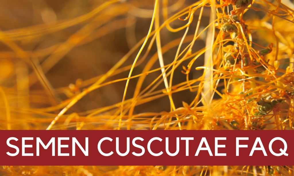 Semen cuscutae FAQ - Semen cuscutae Men's Health Wellness Pathway - Linden Botanicals