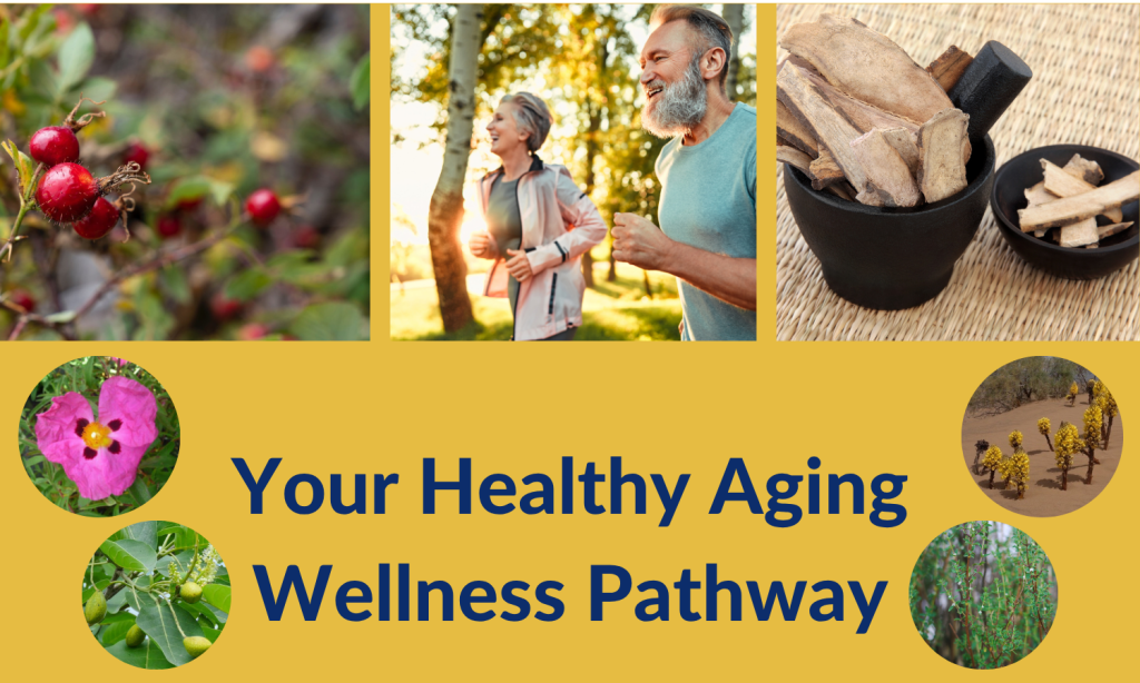Healthy aging wellness pathway - healthy aging dietary supplement support from Linden Botanicals