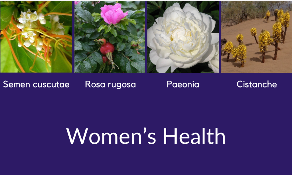 Women's health advantage wellness pathway from Linden Botanicals - Semen cuscutae, Paeonia lactiflora, Rosa rugosa, and Cistanche tubulosa