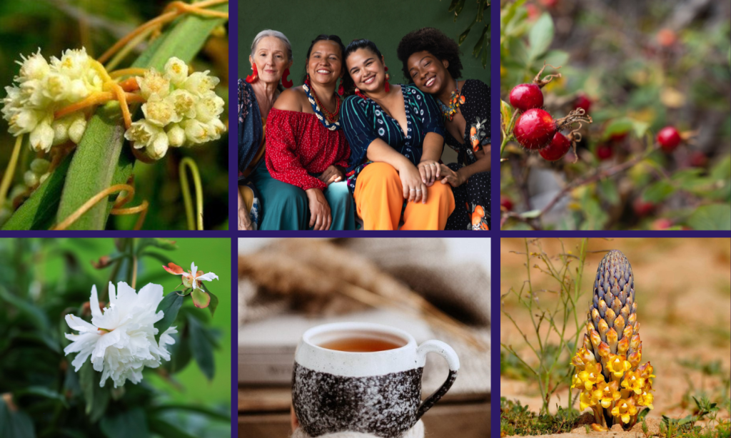 Women's health advantage wellness pathway from Linden Botanicals