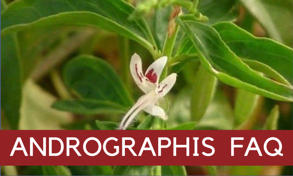 Andrographis - Immune Resilience Wellness Pathway from Linden Botanicals