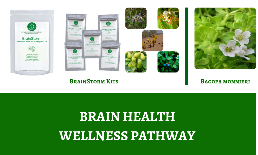 Brain health wellness pathway - Linden Botanicals