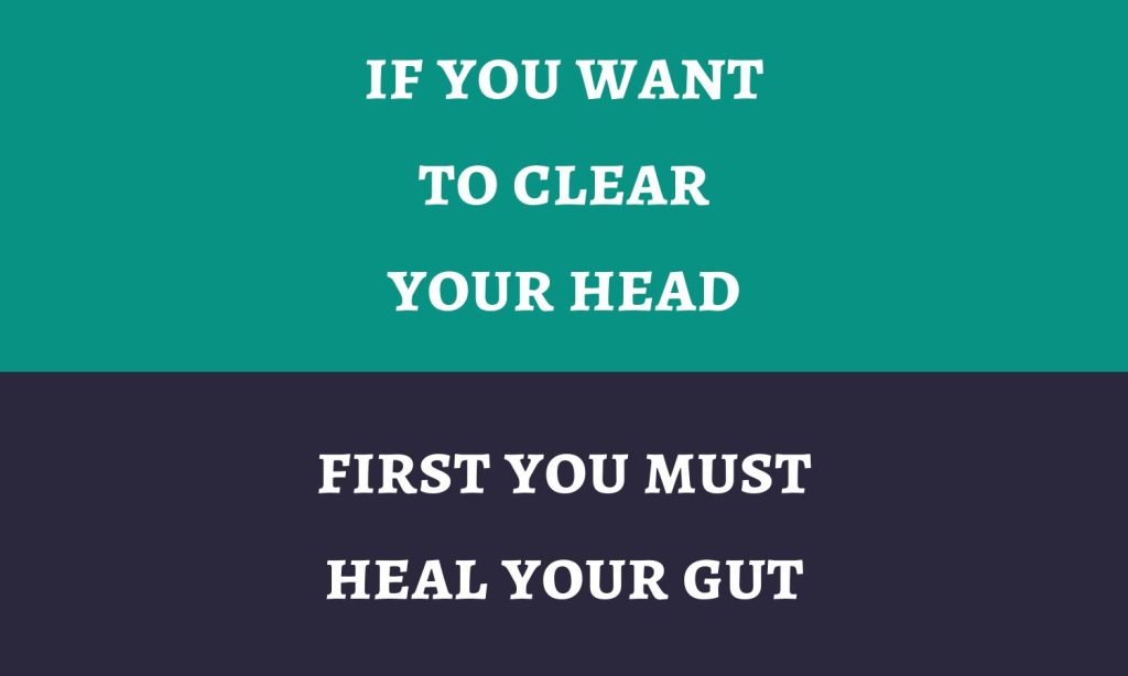 Semen cuscutae for Brain Health - Sold by Linden Botanicals