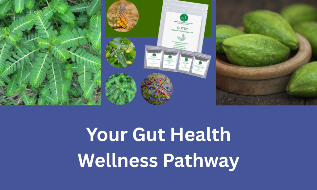 Gut Health Wellness Pathway from Linden Botanicals