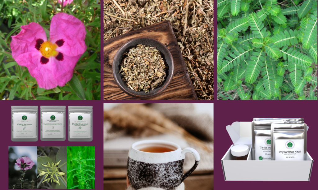 Immune Resilience Wellness Pathway - Linden Botanicals