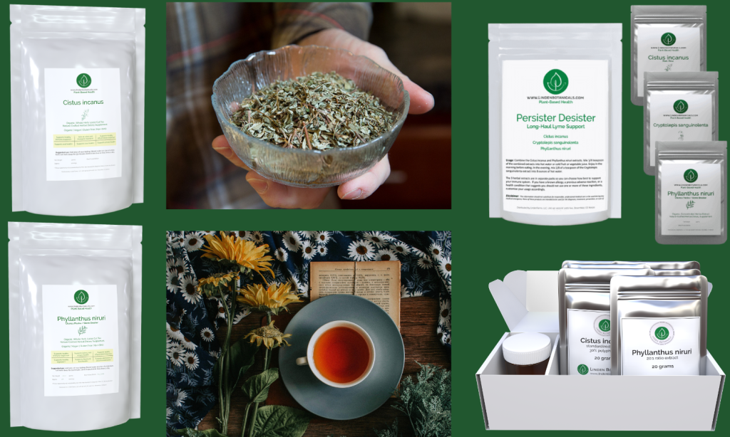 Immune reslience wellness pathway - Linden Botanicals