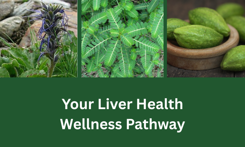 Liver health wellness pathway from Linden Botanicals