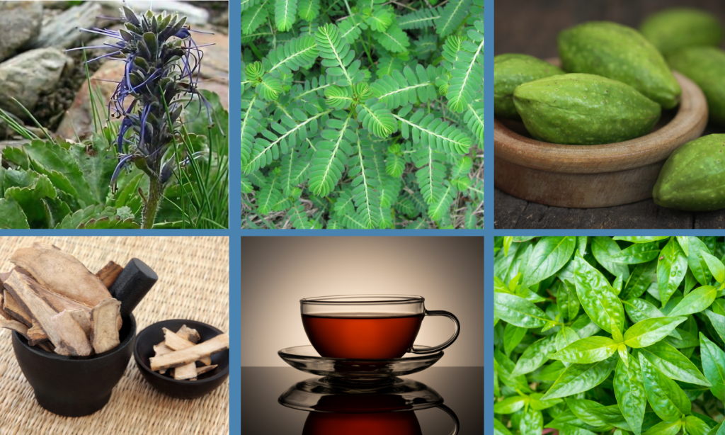 Liver health wellness pathway from Linden Botanicals