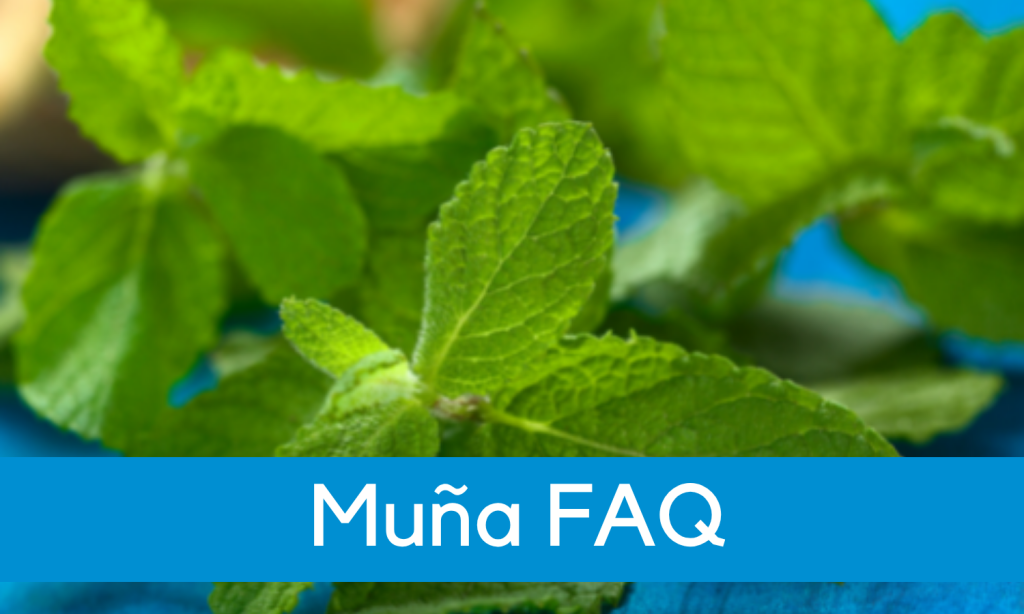 Muna Herbal Tea for Digestion and Altitude Sickness - Linden Botanicals